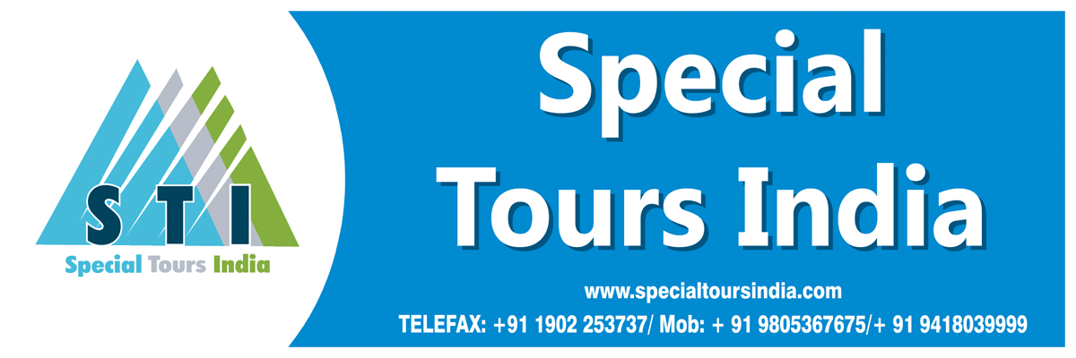 Special Tours India